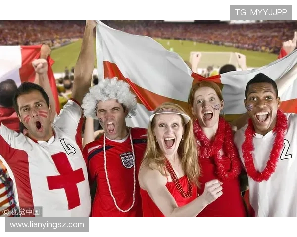 世界杯球迷之诗（世界杯伪球迷段子）世界杯体育论坛